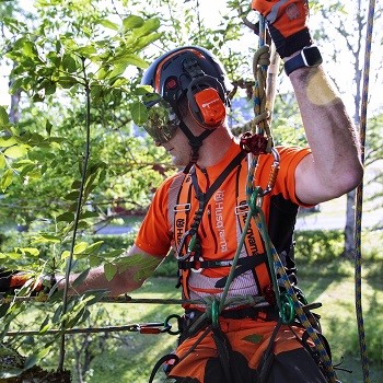 Kiipeilyvarusteet arboristille