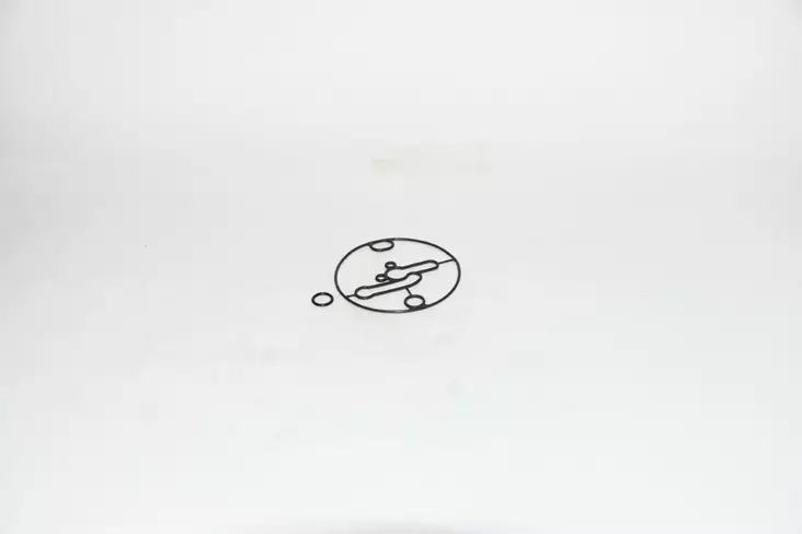 B&S Kaasuttimen tiiviste 698781 - Kaasuttimen korjaussarjat, kalvot - 698781 - 1