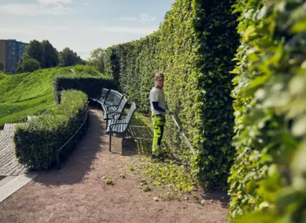 525IHE4 Pensasleikkuri pitkällä varrella - Husqvarna BLI-X pensasleikkurit - 9707050-03 - 2