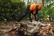 STIHL FUNCTION CORE VIILTOSUOJAHOUSUT, KOKO S - Turvahousut moottorisahaukseen - 00883422903 - 3