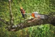 STIHL HTA 110 Oksasaha, teleskooppivarsi - STIHL AP Akkusahat, oksasahat - LA042000015 - 8