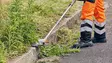 STIHL rikkaruoholeikkuri RG-KM - STIHL kombi lisälaitteet - 41807405006 - 3