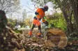 STIHL MSA 600 C-O W 25" 36RS3 - STIHL AP Akkusahat, oksasahat - MA072000007 - 3