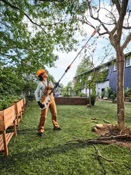 STIHL HTA 30 Oksasaha PAKETTI - STIHL AS akkukoneet - LA050116418 - 2
