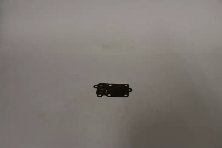 B&S kalvo 272538 (korvaa 272637) - Kaasuttimen korjaussarjat, kalvot - 272538 - 1