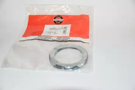 B&S Käynnistysjousi 491889 - Käynnistimen osat - 491889 - 1