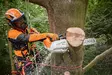 Stihl MSA 220 TC-O akkusaha - STIHL AP akkukoneet - MA012000009 - 4