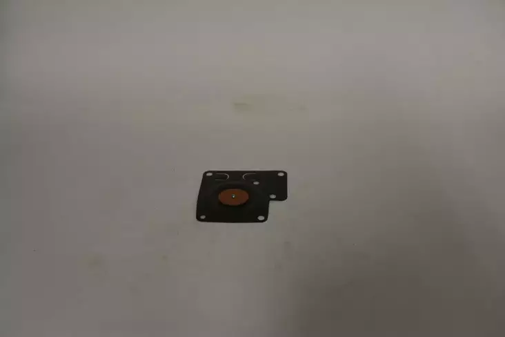 B&S Kaasuttimen Kalvo 2-T 396789 - Kaasuttimen korjaussarjat, kalvot - 396789 - 1