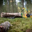 KELLFRI METSÄVAUNU FT36-2T, 3,6M KUORMAIN, 9 HV MOOTTORI - Mönkijöiden lisävarusteet - 21-SV20101E - 3